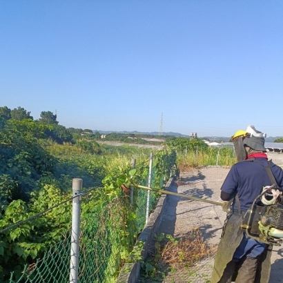 嘉義能源屏東九如除草噴藥